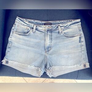 Silver Sure Thing Jean Shorts Size 31